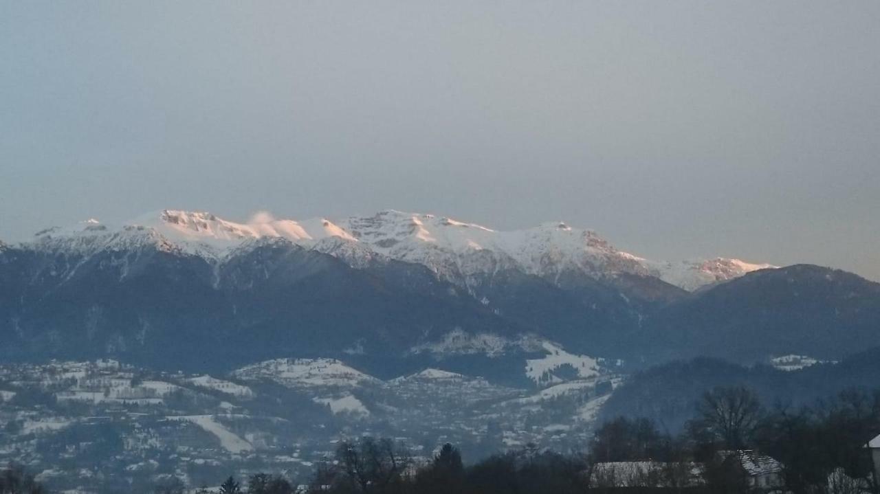Pensiunea Bella Predelut Bran  Exteriör bild